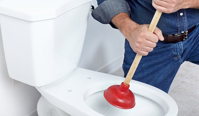 gậy thông bồn cầu