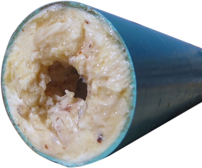 Dầu mỡ bám vào đường ống gây tắc nghẽn mạnh thông tắc cống tại Mỹ Đình