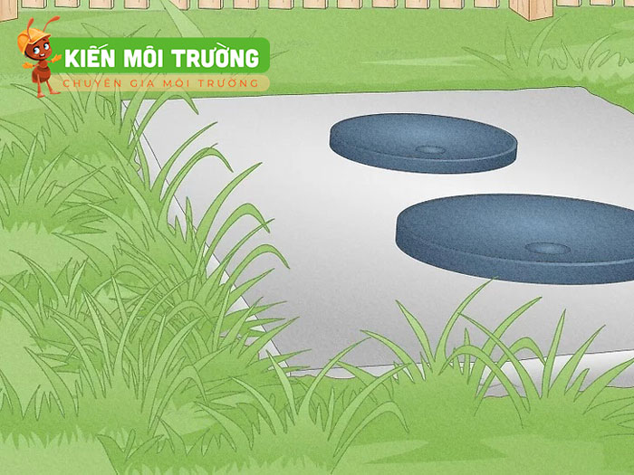 Cây cối, cỏ dại gần điểm thoát nước xanh tốt bất thường Dấu hiệu bể phốt bị đầy