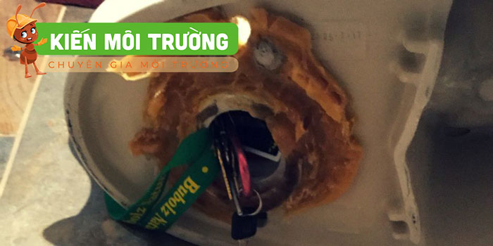 Xả nước bồn cầu không trôi do dị vật Xả nước bồn cầu không trôi do dị vật