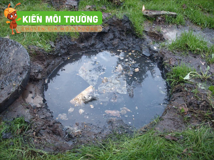 Bể phốt đầy có hiện tượng nước thải trong bể phốt bị tràn ra ngoài Dấu hiệu bể phốt bị đầy