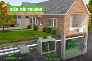 bể phốt nên đặt ở đâu