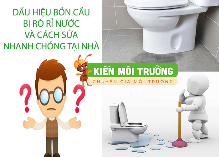 Dấu hiệu nhận biết bồn cầu bị rò rỉ nước nhanh chóng bồn cầu bị rò rỉ nước