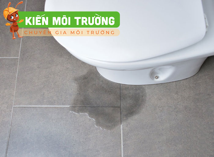 Dấu hiệu nhận biết bồn cầu bị rò rỉ nước nhanh chóng bồn cầu bị rò rỉ nước