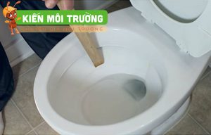 Cách Xử Lý Bồn Cầu Xả Nước Không Trôi Hữu Hiệu Nhất