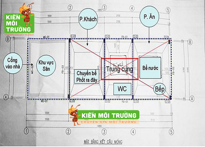 bể phốt nên đặt ở đâu