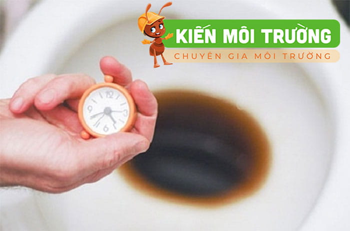 Hướng dẫn cách thông bồn cầu bị tắc bằng Coca cola thông tắc bồn cầu bằng coca