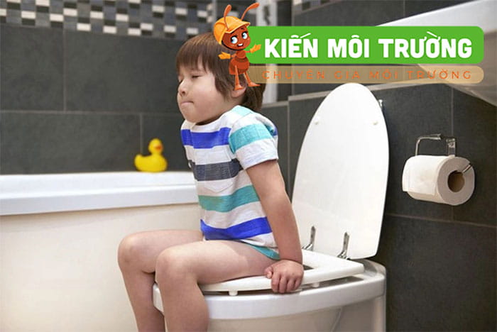 Kích thước bồn cầu trẻ em kích thước bồn cầu