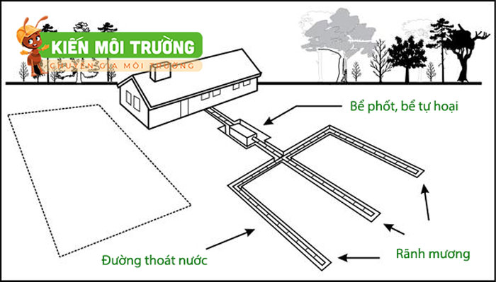 bể phốt nên đặt ở đâu