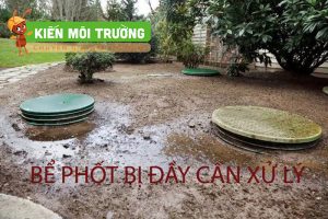 Dấu hiệu bể phốt bị đầy