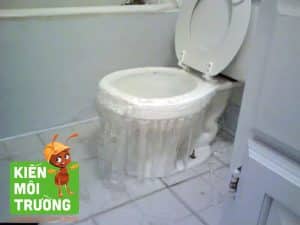 bồn cầu bị trào ngược