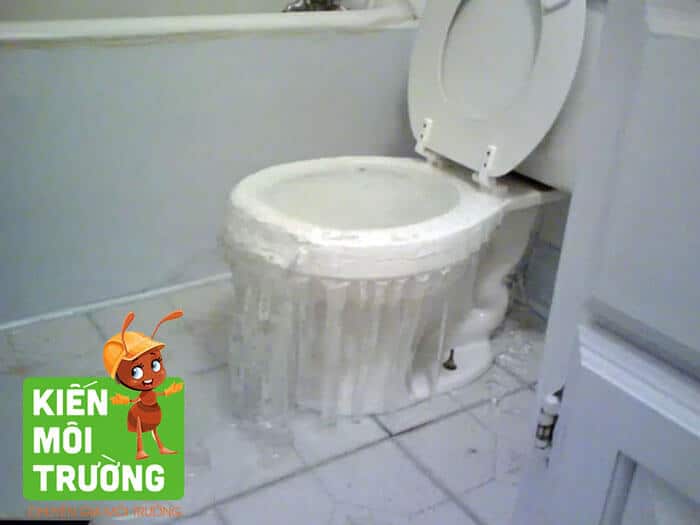 Tại sao bồn cầu bị trào ngược lên? bồn cầu bị trào ngược