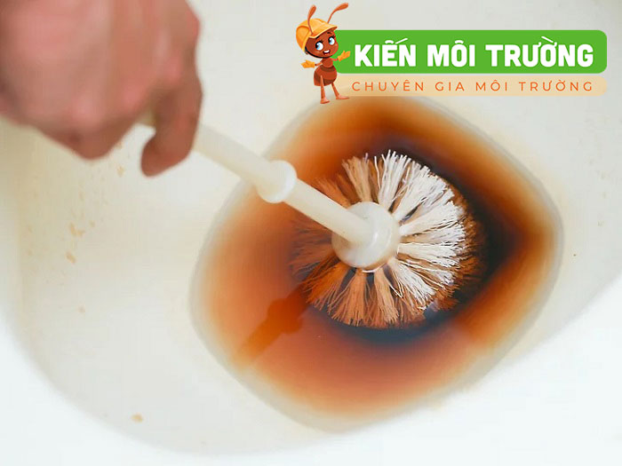 coca tẩy bồn cầuh bồn cầu bằng coca