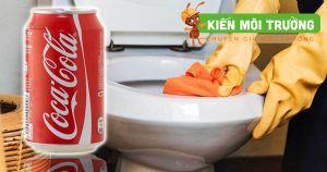 coca tẩy bồn cầu