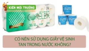 Giấy Vệ Sinh Tan Trong Nước Nên Hay Không Nên Sử Dụng?