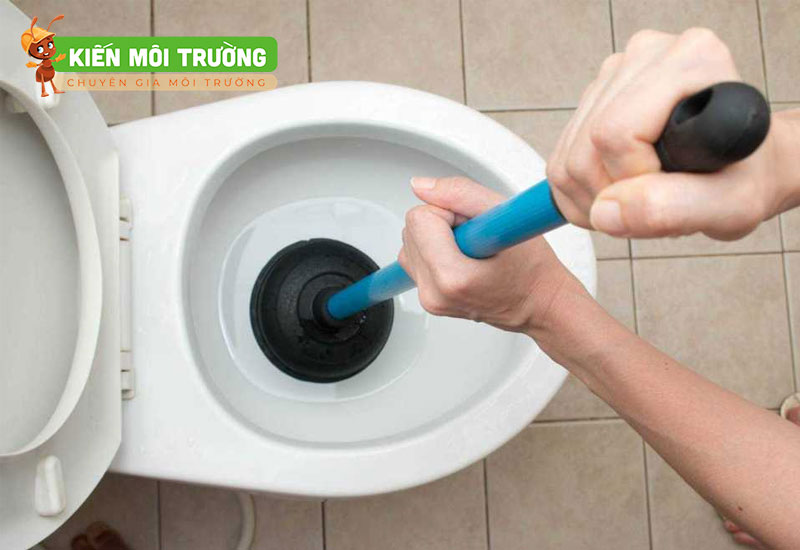 cách diệt ruồi giấm trong nhà vệ sinh