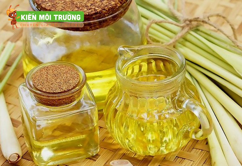 cách diệt ruồi giấm trong nhà vệ sinh