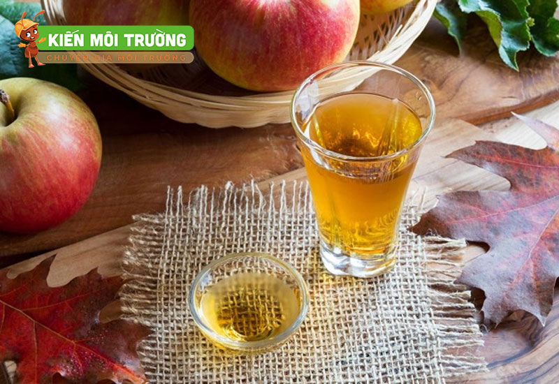 cách diệt ruồi giấm trong nhà vệ sinh