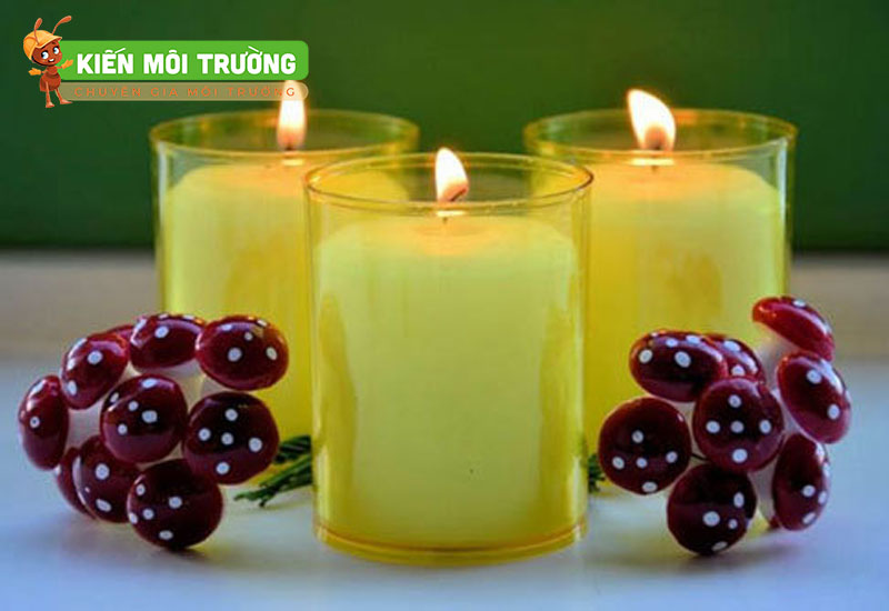 cách diệt ruồi giấm trong nhà vệ sinh