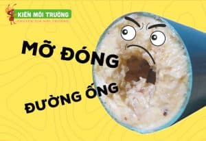 Cống nghẹt dầu mỡ