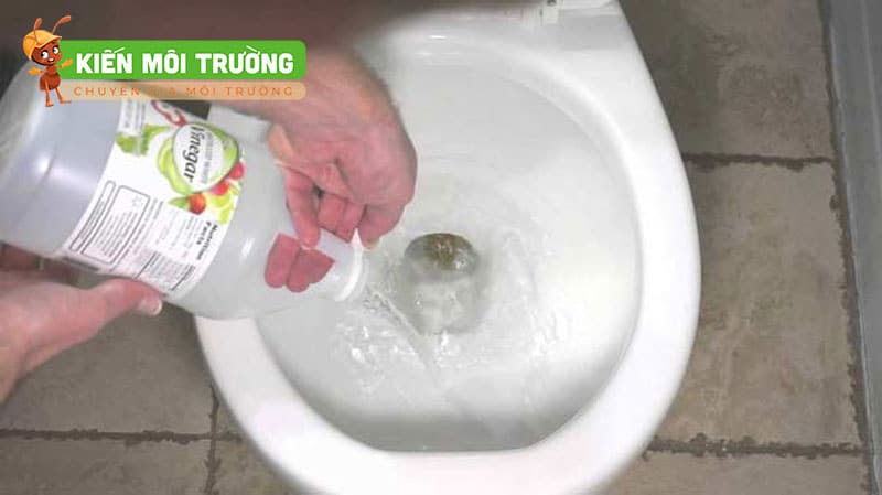 khử mùi cống nhà vệ sinh