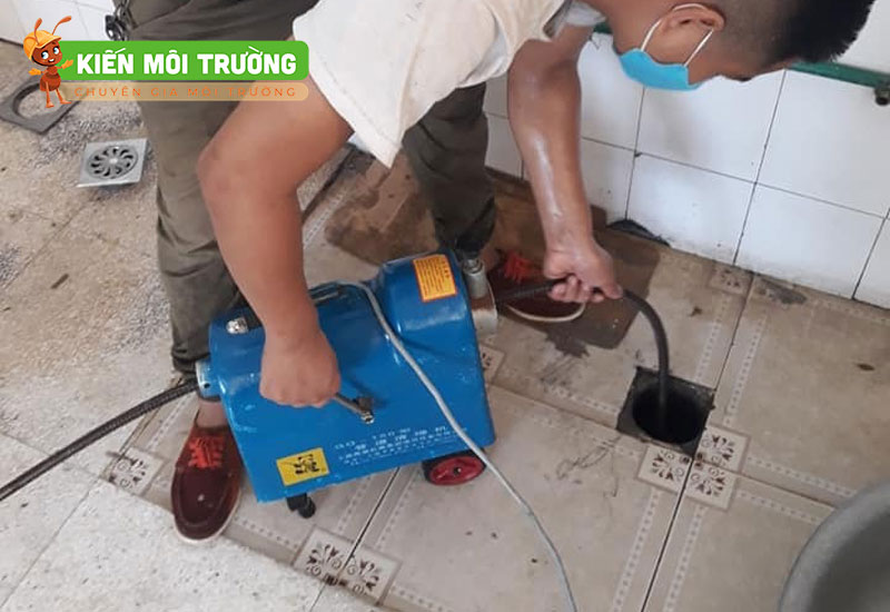 các loại côn trùng trong nhà vệ sinh