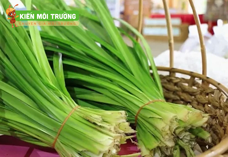 cách để lá dứa trong nhà vệ sinh