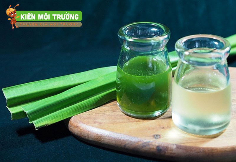 cách để lá dứa trong nhà vệ sinh