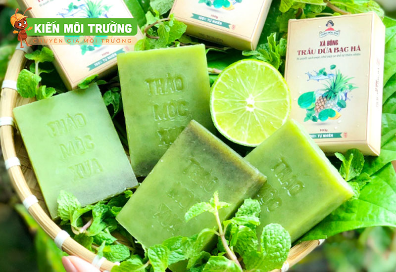 cách để lá dứa trong nhà vệ sinh