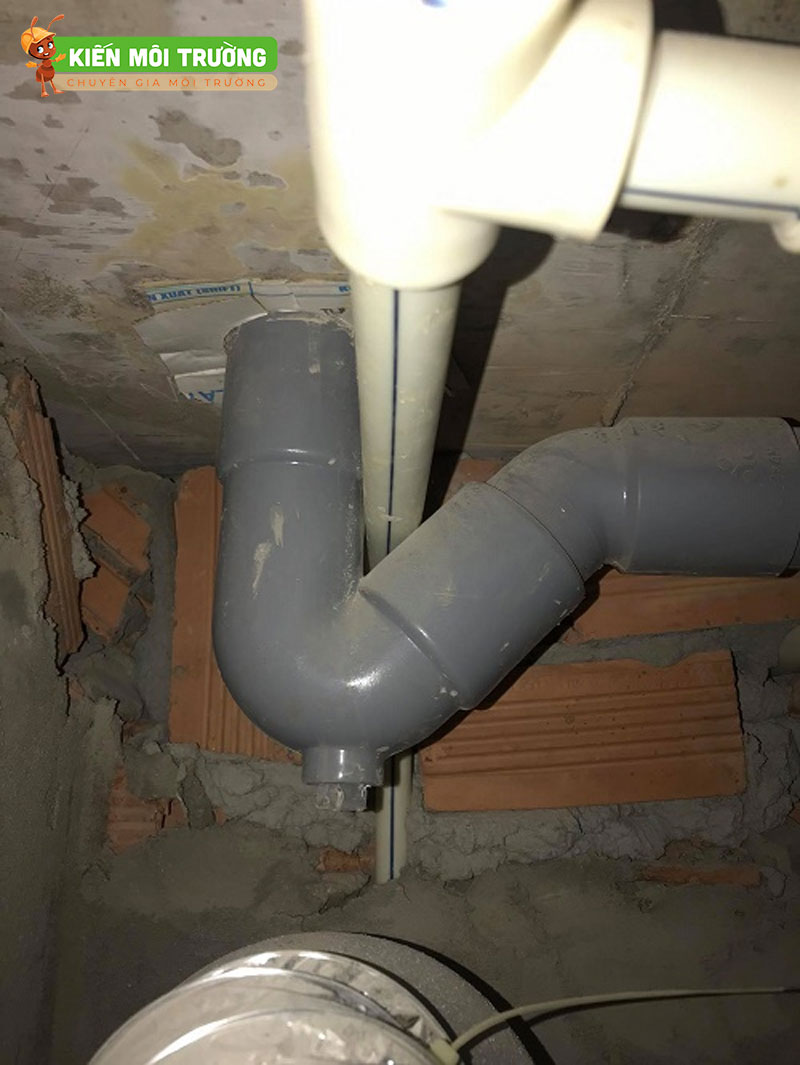 con thỏ chống hôi bồn cầu