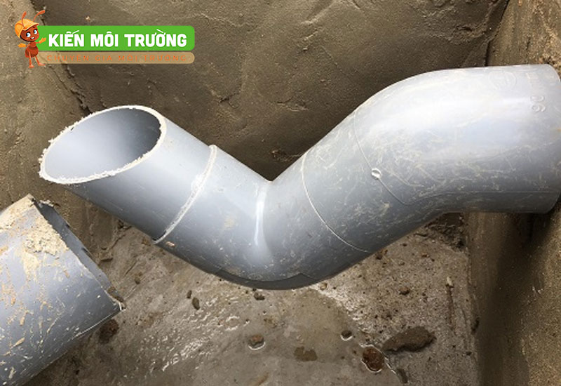 con thỏ chống hôi bồn cầu