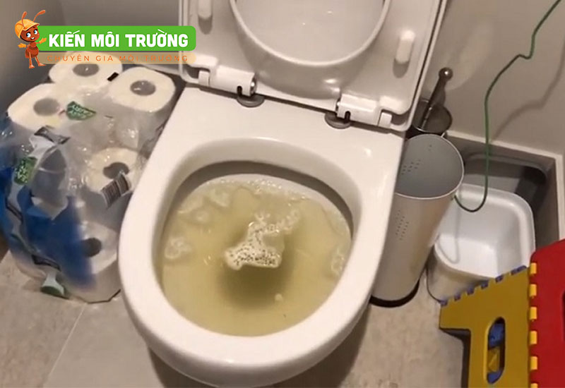 mơ thấy nhà vệ sinh