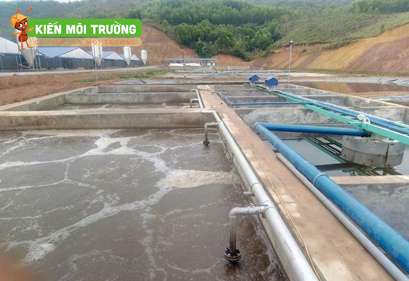 vận chuyển bùn vi sinh