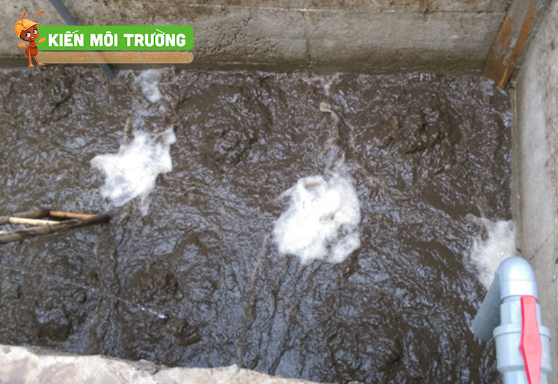 vận chuyển bùn vi sinh