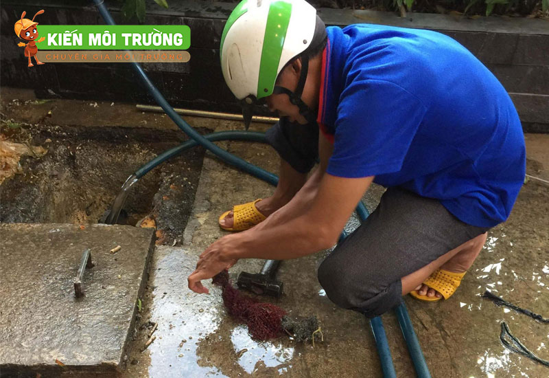 Kiến Môi Trường cung cấp nhiêu dịch vụ khác nhau