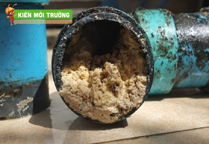 ống thoát nước bị trào ngược