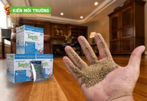 men vi sinh bồn cầu