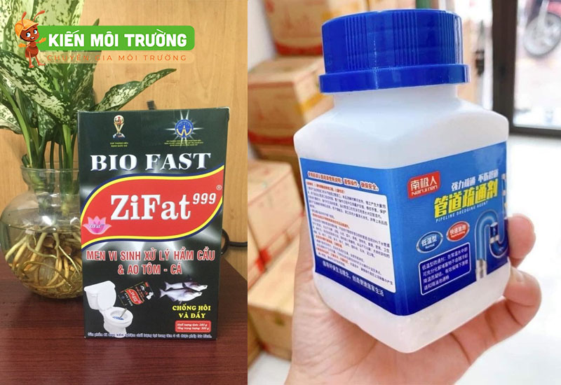 men vi sinh bồn cầu