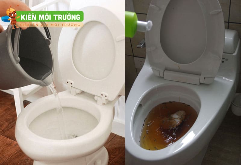 thuốc xử lý hầm cầu