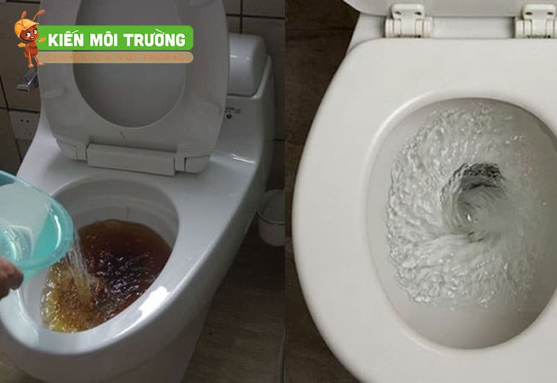 thuốc xử lý hầm cầu