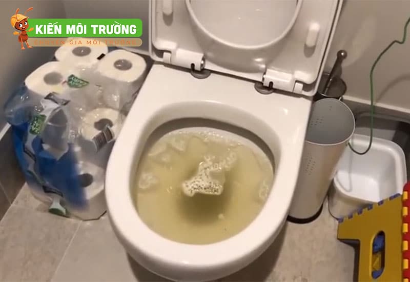 cách thông bồn cầu bị tắc vật cứng