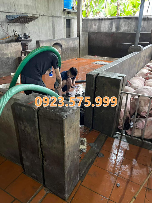 Hút bể phốt tại Hưng Yên